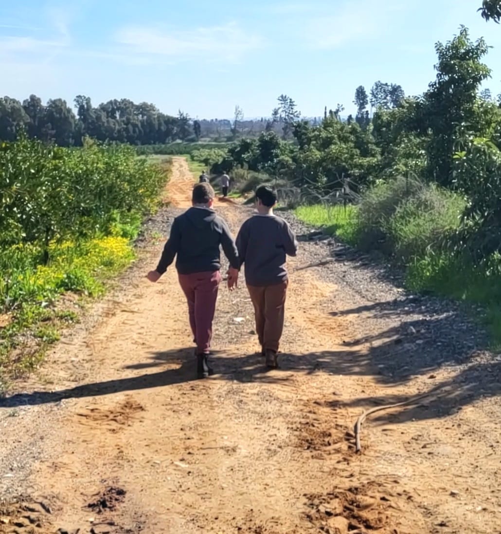 נותנים ידיים
